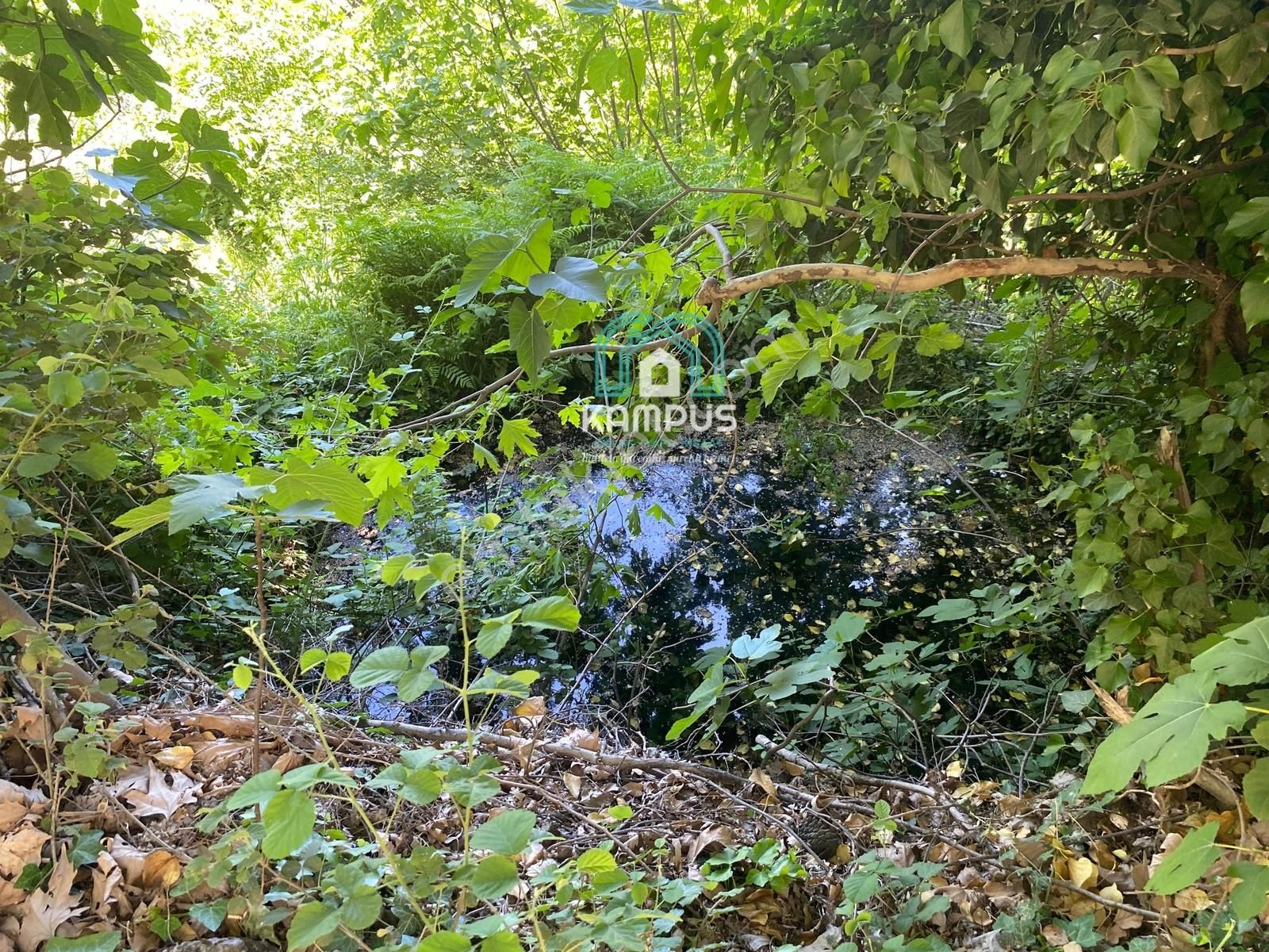 Muğla Çatakbağyaka'da Satılık Tarla - Görsel 5