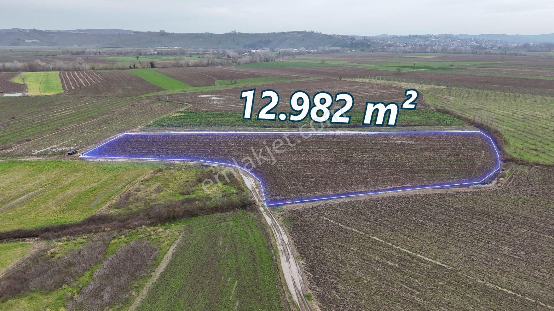 Re/max Maviden | Limandere 'de 12.982 M² Satılık Tarla - Görsel 2