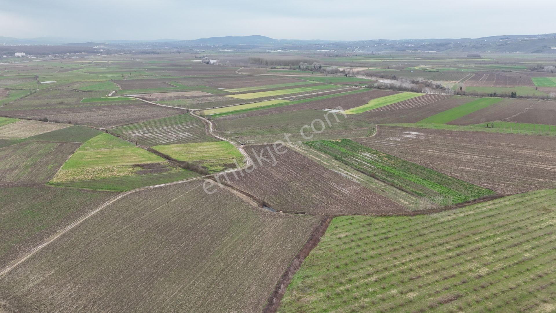 Re/max Maviden | Limandere 'de 12.982 M² Satılık Tarla - Görsel 24