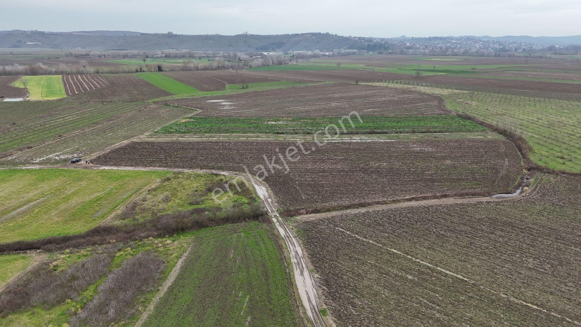 Re/max Maviden | Limandere 'de 12.982 M² Satılık Tarla - Görsel 31