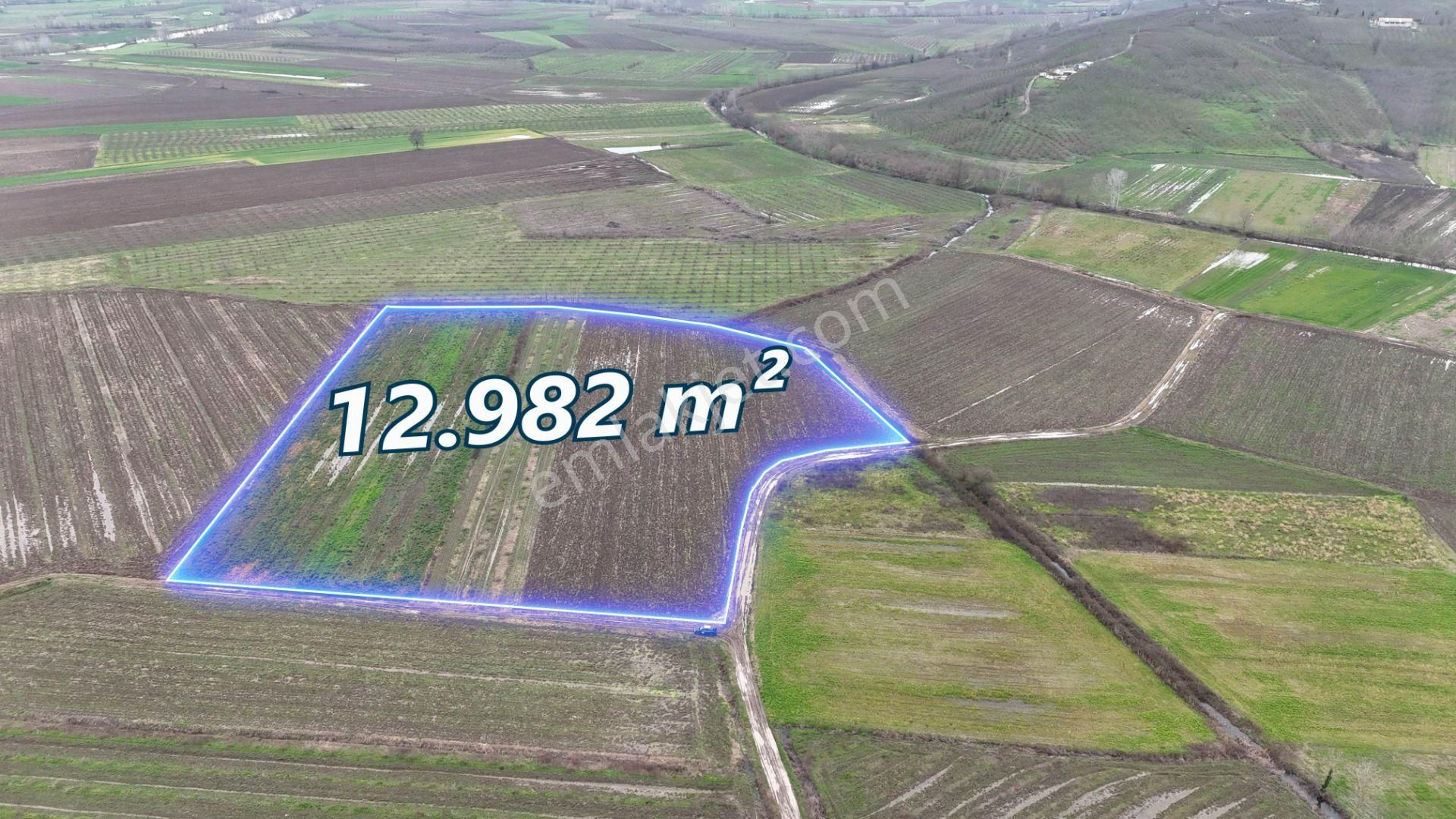 Re/max Maviden | Limandere 'de 12.982 M² Satılık Tarla - Görsel 7