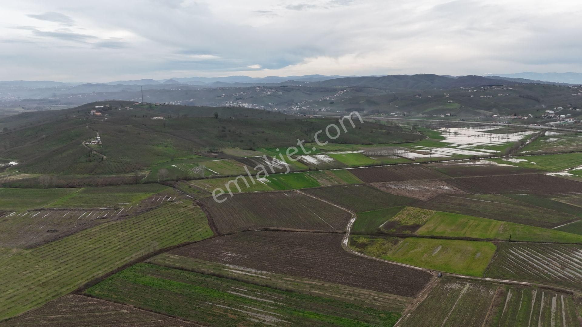 Re/max Maviden | Limandere 'de 12.982 M² Satılık Tarla - Görsel 22