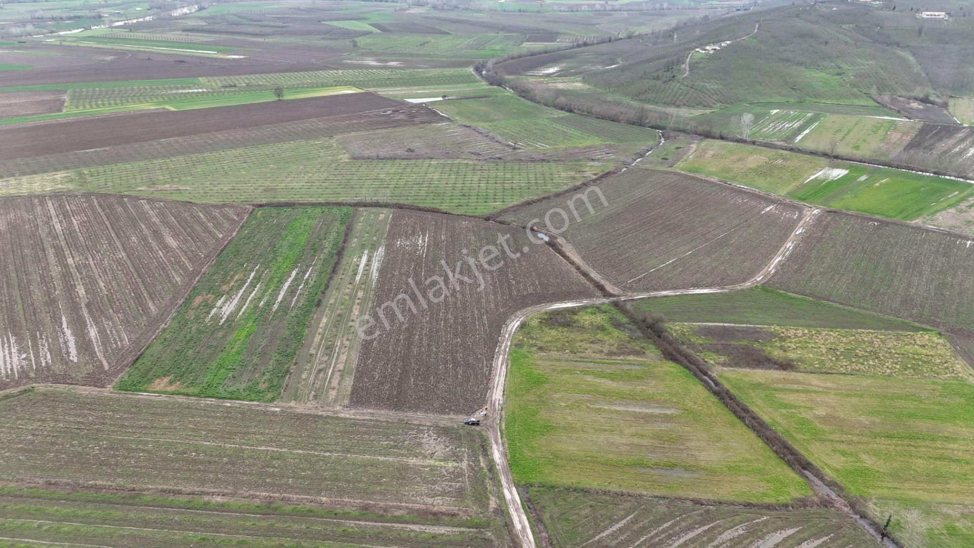 Re/max Maviden | Limandere 'de 12.982 M² Satılık Tarla - Görsel 25