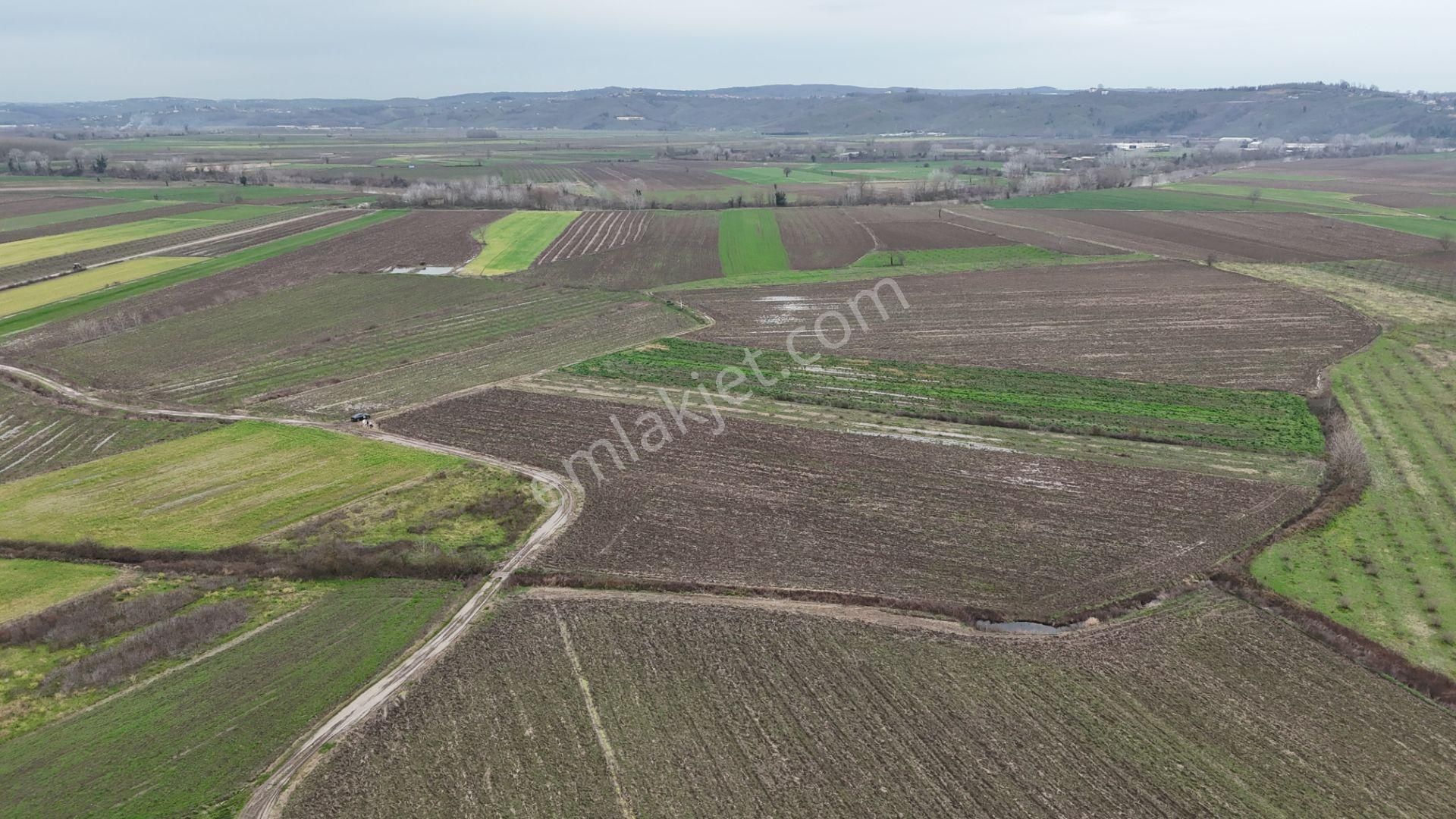 Re/max Maviden | Limandere 'de 12.982 M² Satılık Tarla - Görsel 34