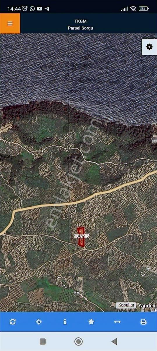 Anıl Emlak Tan Mudanya Trilye Halilbey 1665m2 Müstakil Zeytinlik - Görsel 4
