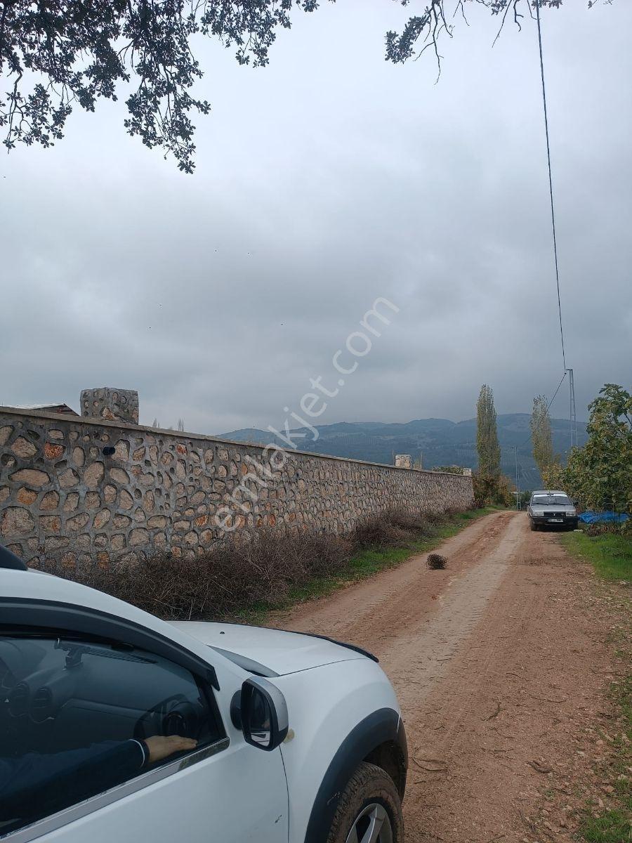 Anıl Emlak'tan Mudanya Işıklı'da 3769 M2 Müstakil Tapu Zeytinlik - Görsel 9