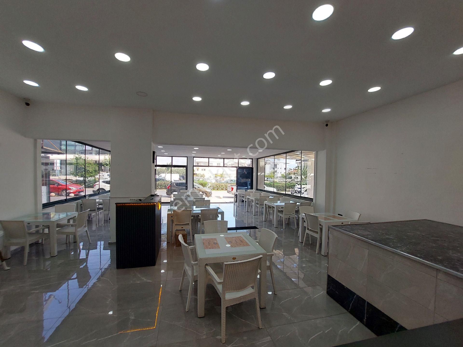 Didim Merkezde Devren Lahmacun Pide Piza Salonu - Görsel 2