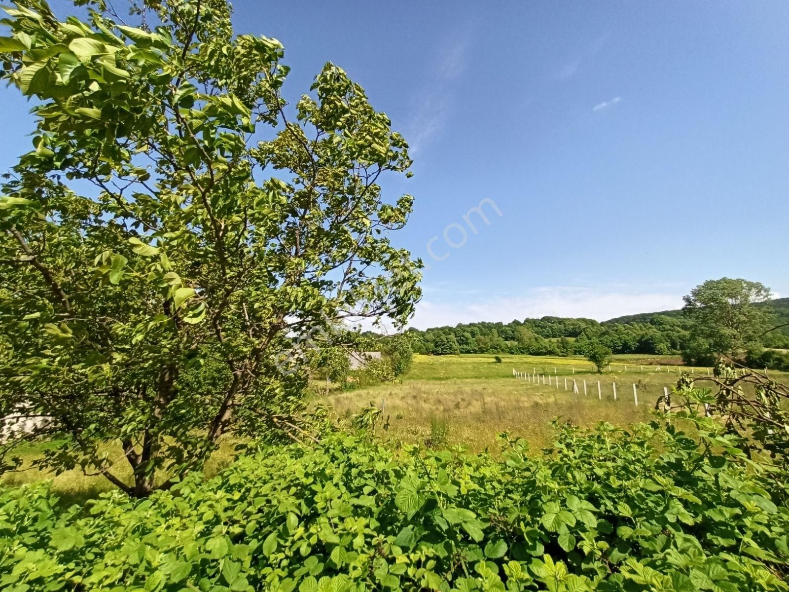 İnceoğlundan Muradiyesarnıç'ta 970m2 Villa İmarlı Arsa Fırsatı! - Görsel 11