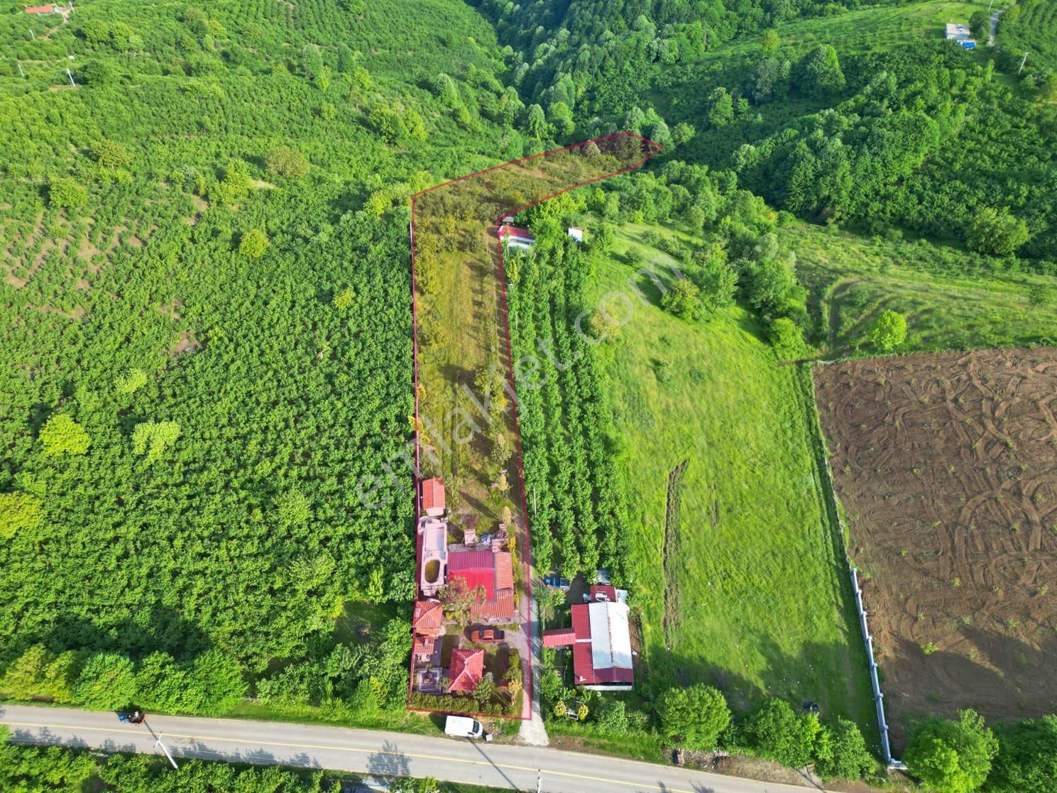 Sakarya Hendek 8.300 M2 Arsa İçinde Ultra Lüks Havuzlu Malikane - Görsel 5