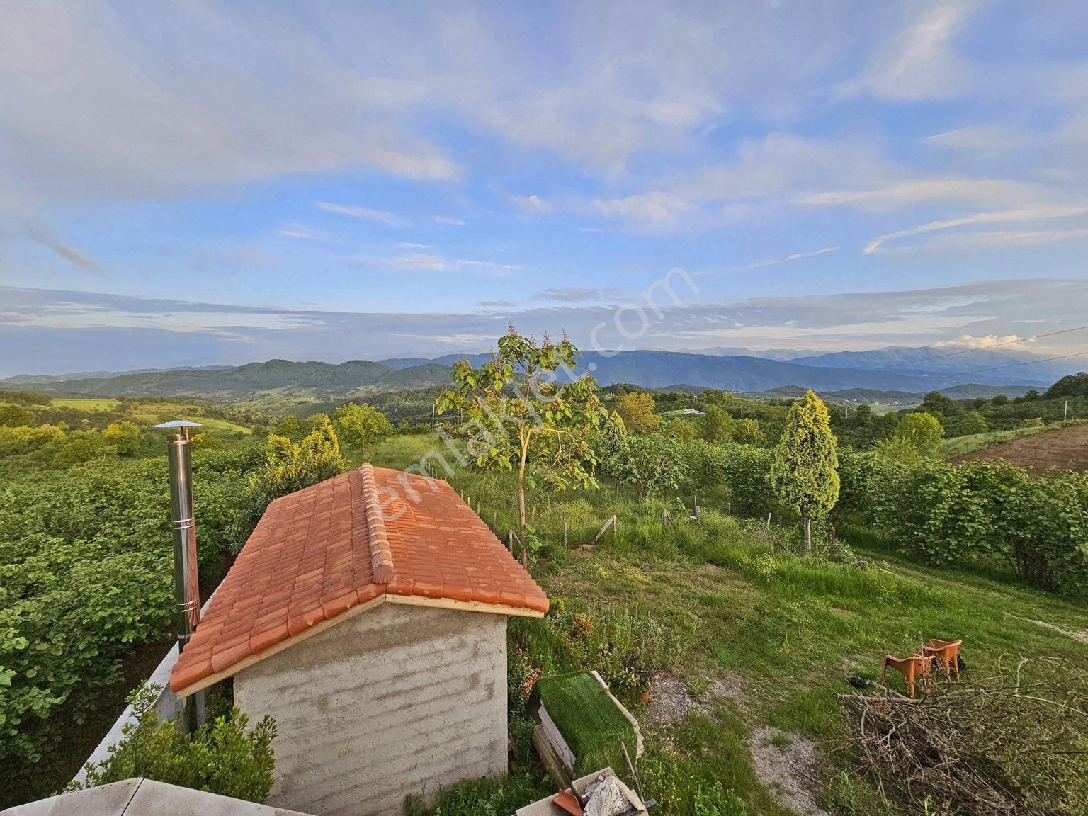 Sakarya Hendek 8.300 M2 Arsa İçinde Ultra Lüks Havuzlu Malikane - Görsel 18