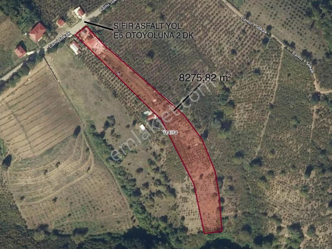 Sakarya Hendek 8.300 M2 Arsa İçinde Ultra Lüks Havuzlu Malikane - Görsel 20