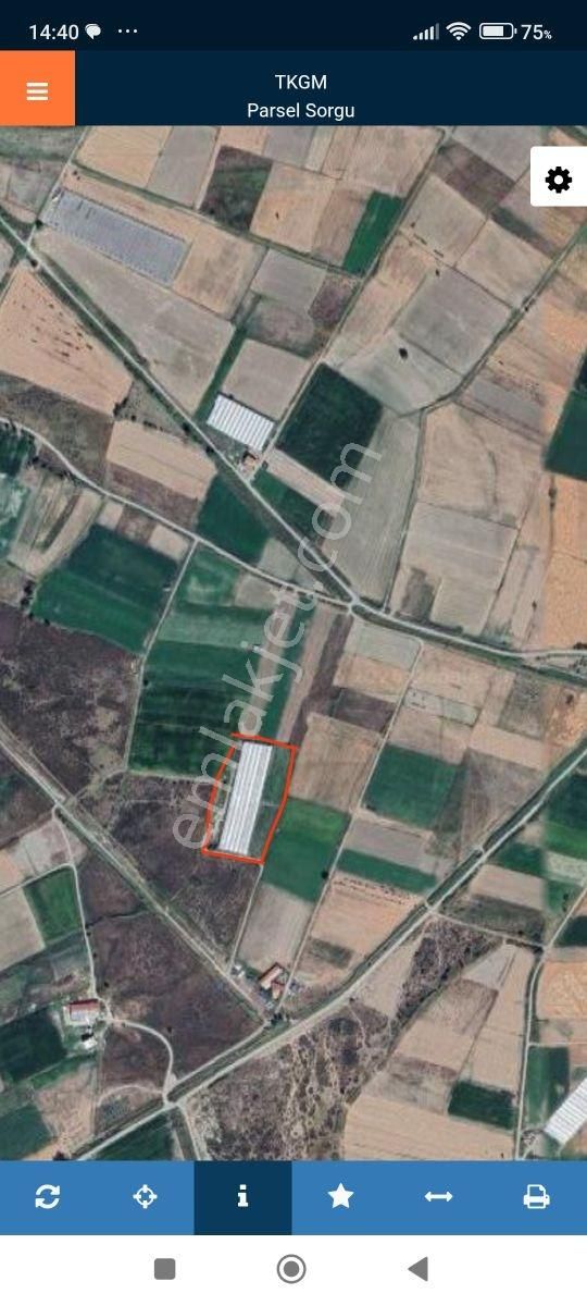 Burdur Gölhisar'da Satılık Sera Ve Tarla