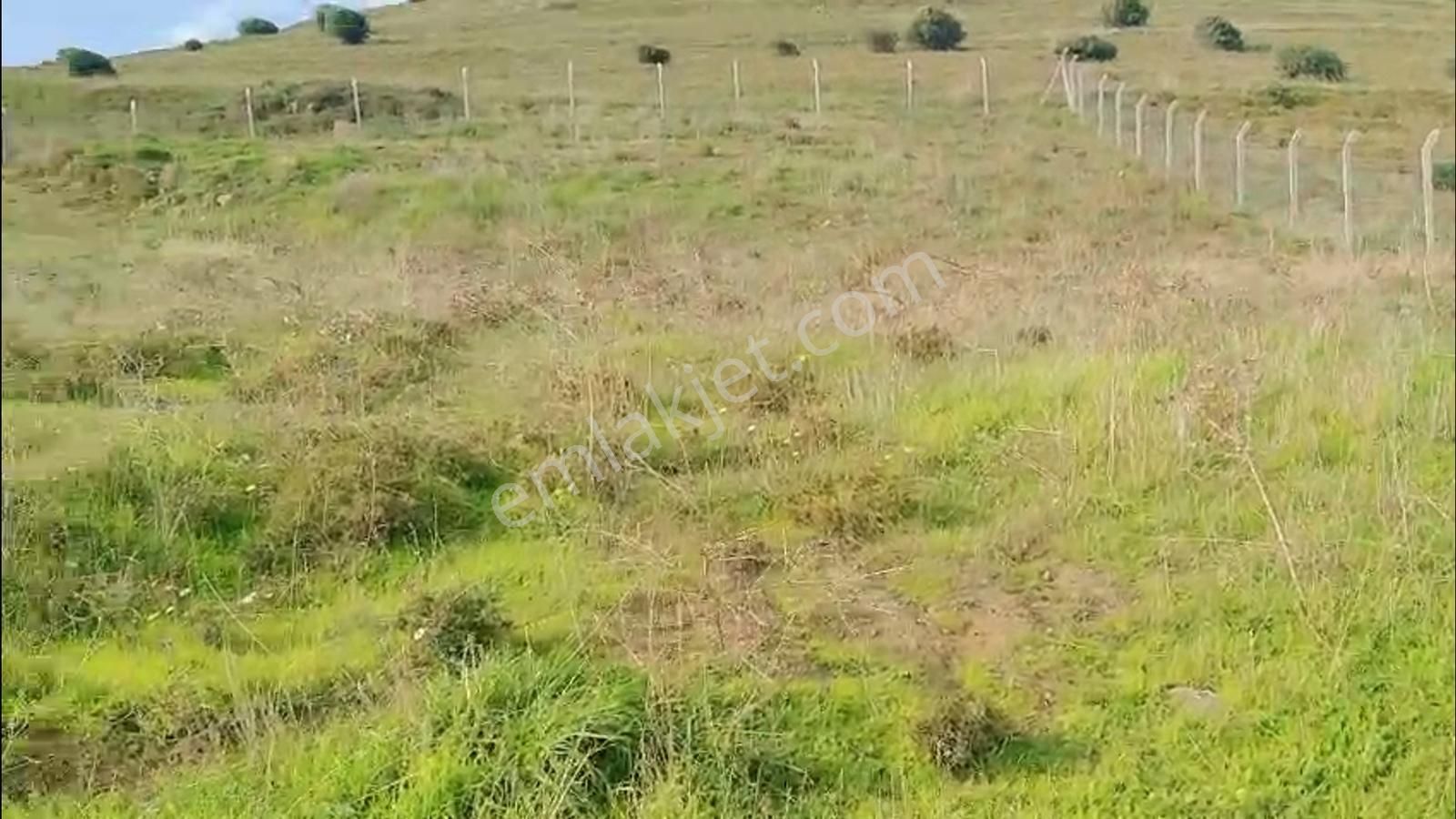 3.179 M² Arsa İçinde, 67 M² Sıfır 2+1 Ev Denize Sıfır Paşalimanı - Görsel 21