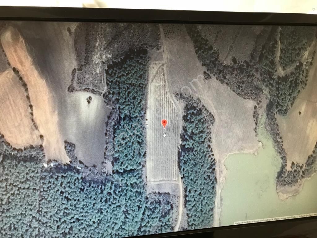 Keşan Yeşilköy 7.800m2 Etrafı Çevrili 1.100 Ad. Elma Ağacı - Görsel 4