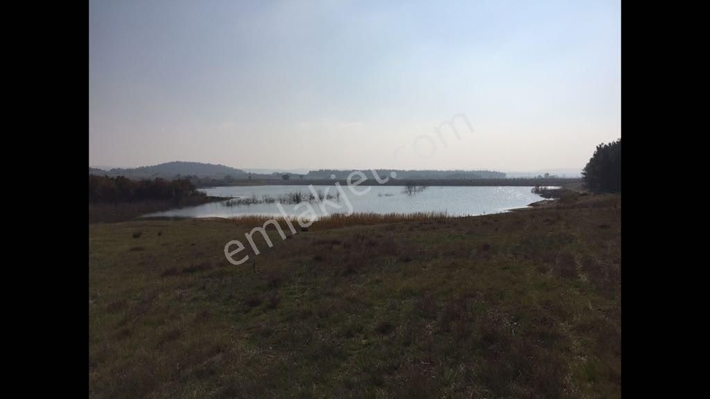 Keşan Yeşilköy 7.800m2 Etrafı Çevrili 1.100 Ad. Elma Ağacı - Görsel 3