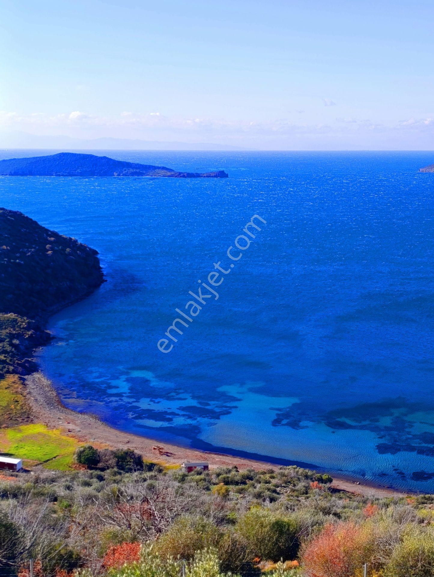 Çandarlı Eyko Sitesinde Panoramik Deniz Ve Adalar Manzaralı Arsa - Görsel 19
