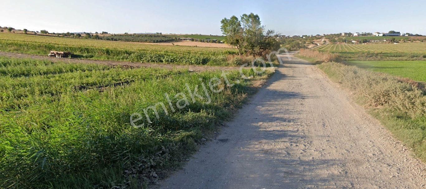 Karacabey Aşağıfevzipaşa'da 8.000 M2 Satılık Arazi - Görsel 2