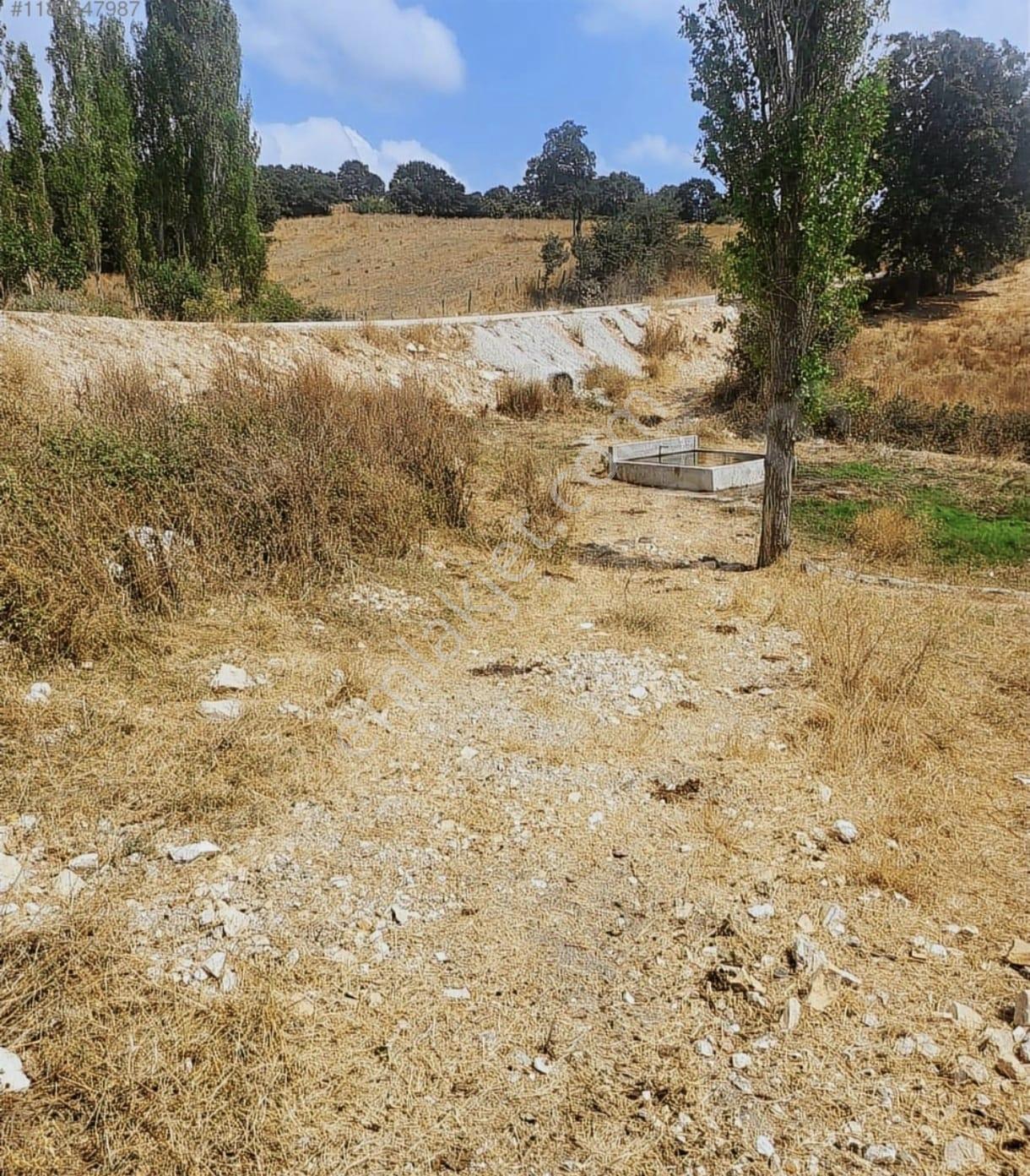Çanakkale Çan Doğancılar Köyü Yola Cepheli Satılık Bahçe - Görsel 3