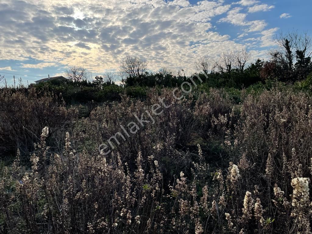 Beykoz Riva Denize Sıfır Yatılırımlık Konut + Turizm İmarlı Kupon Arsa - Görsel 6