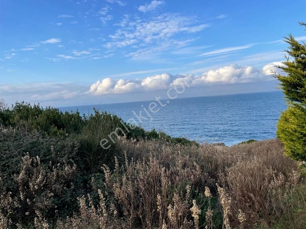 Beykoz Riva Denize Sıfır Yatılırımlık Konut + Turizm İmarlı Kupon Arsa - Görsel 5