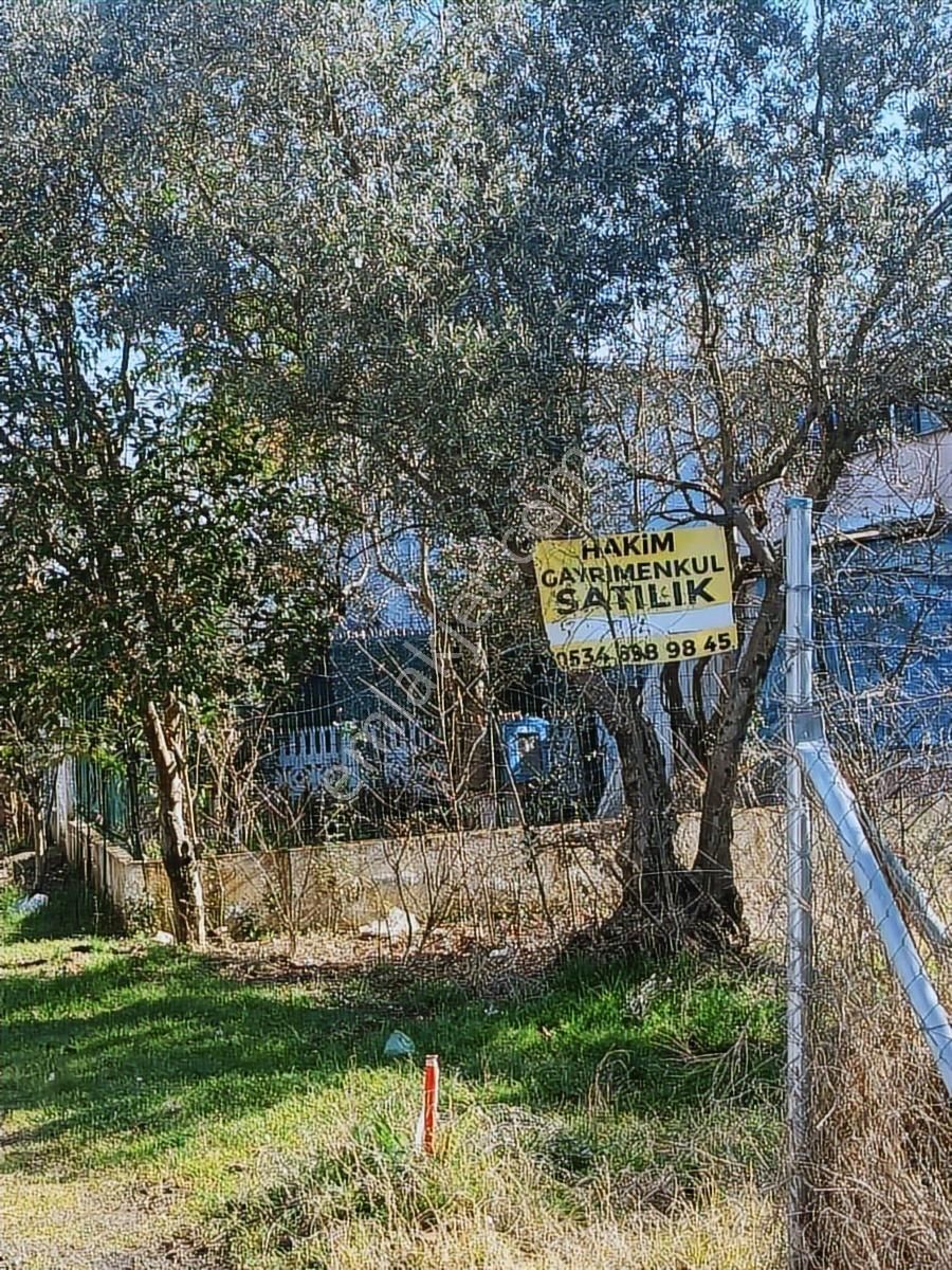 Satılık Arsa Kumsazda 183 M2 İmarsız - Görsel 18