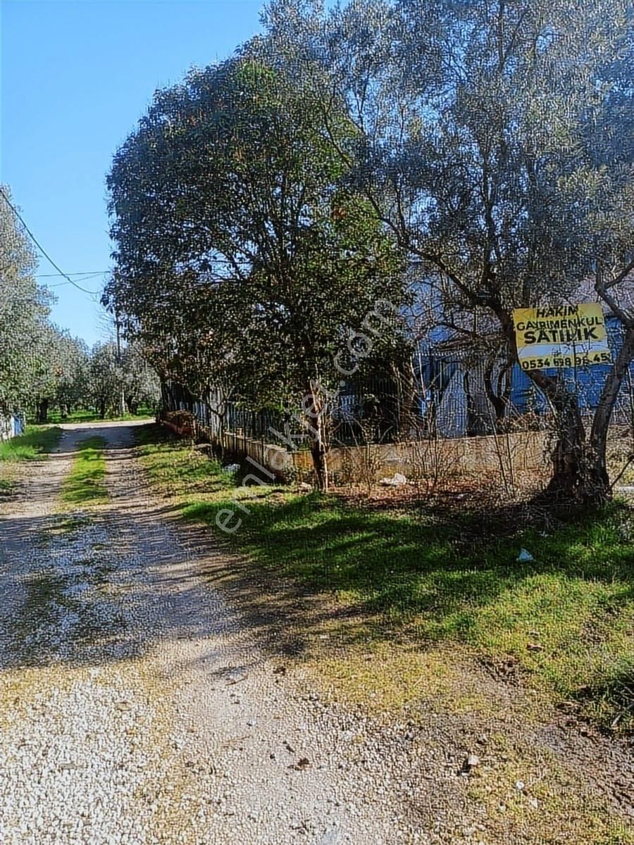Satılık Arsa Kumsazda 183 M2 İmarsız - Görsel 19