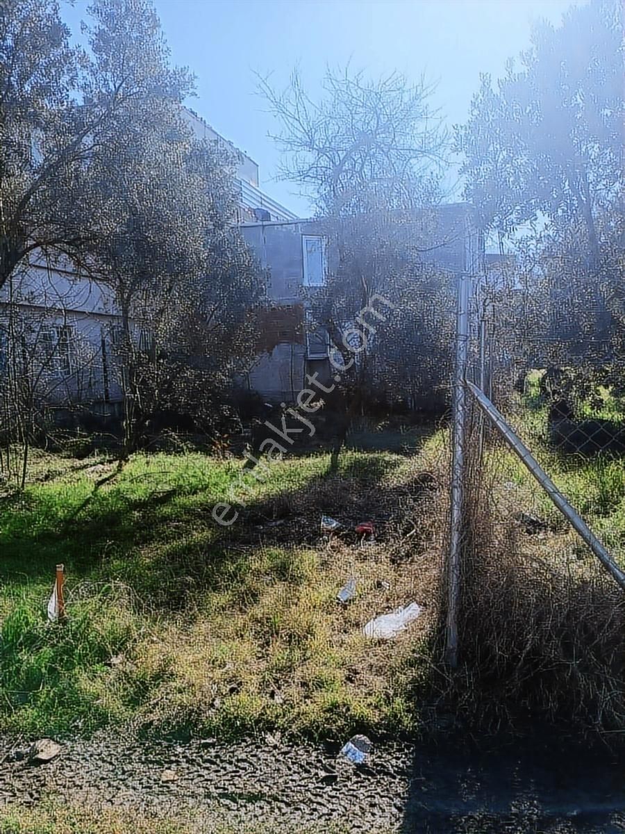 Satılık Arsa Kumsazda 183 M2 İmarsız - Görsel 20