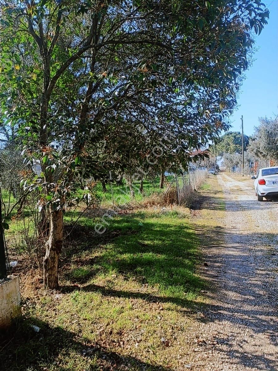 Satılık Arsa Kumsazda 183 M2 İmarsız - Görsel 2