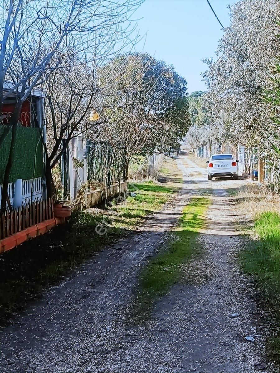 Satılık Arsa Kumsazda 183 M2 İmarsız - Görsel 21