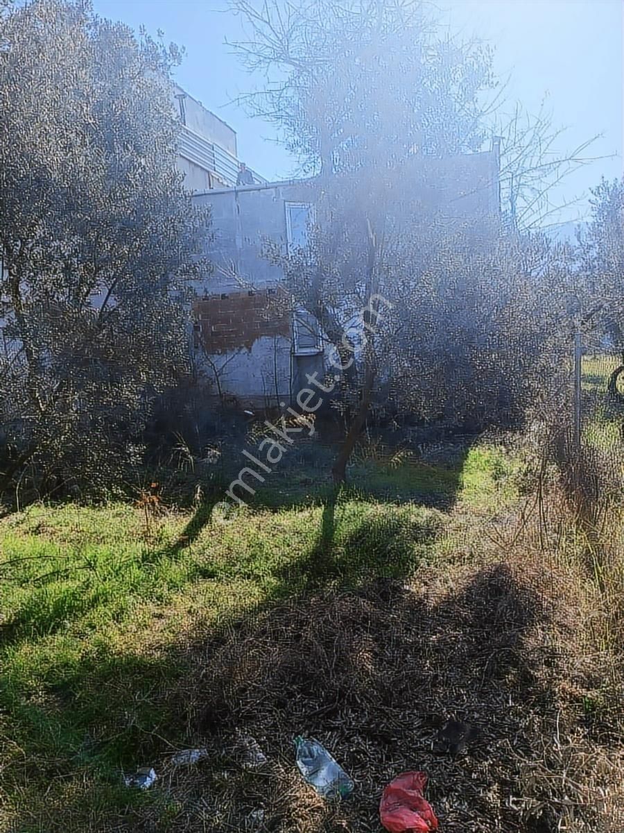 Satılık Arsa Kumsazda 183 M2 İmarsız - Görsel 13