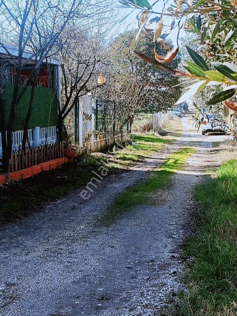 Satılık Arsa Kumsazda 183 M2 İmarsız - Görsel 28