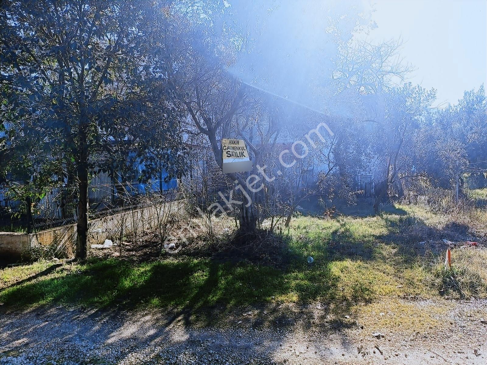 Satılık Arsa Kumsazda 183 M2 İmarsız - Görsel 23
