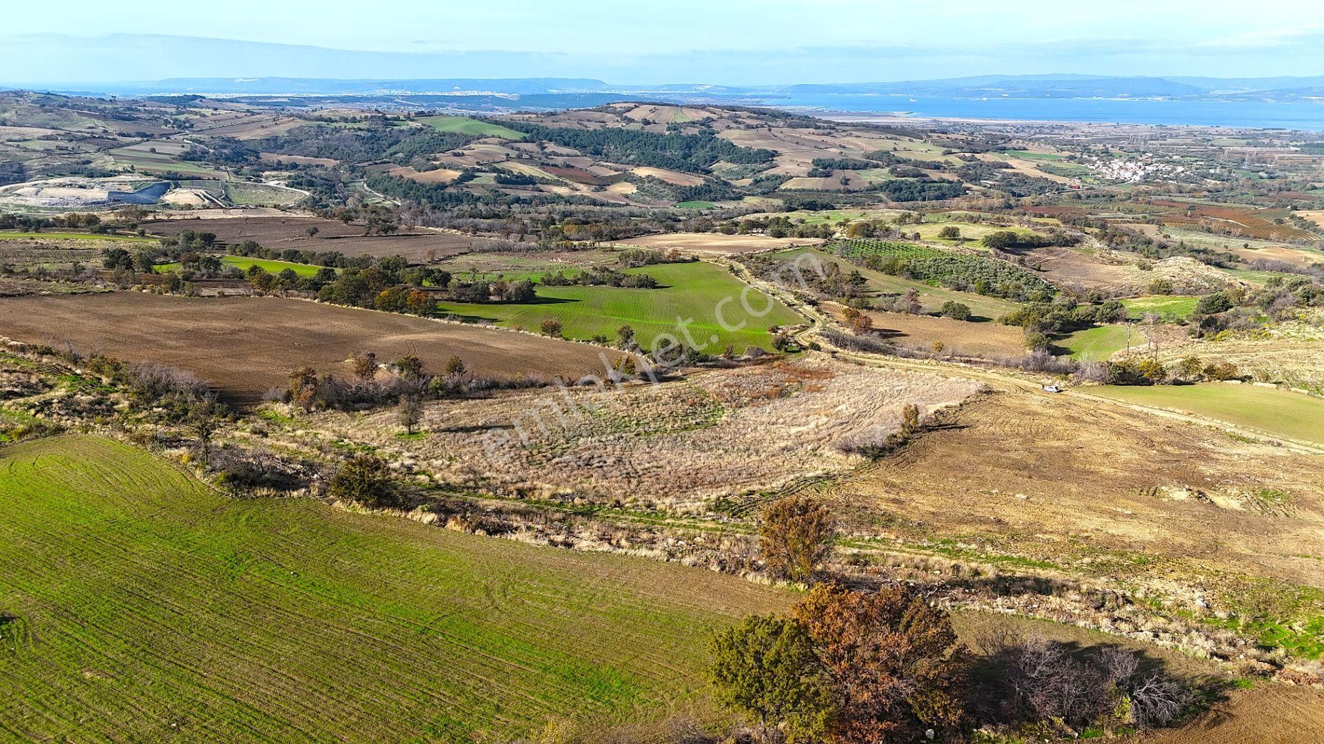 Çanakkale Merkez Kızılkeçilide Boğaz Ve Deniz Manzaralı Tarla - Görsel 32
