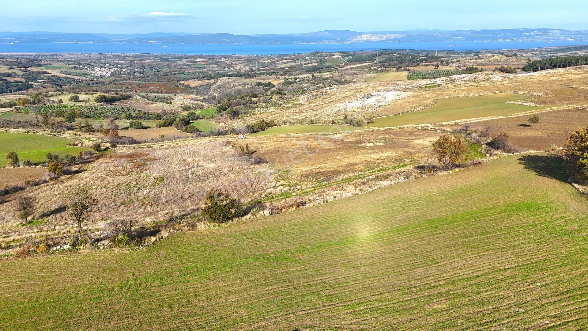 Çanakkale Merkez Kızılkeçilide Boğaz Ve Deniz Manzaralı Tarla - Görsel 30