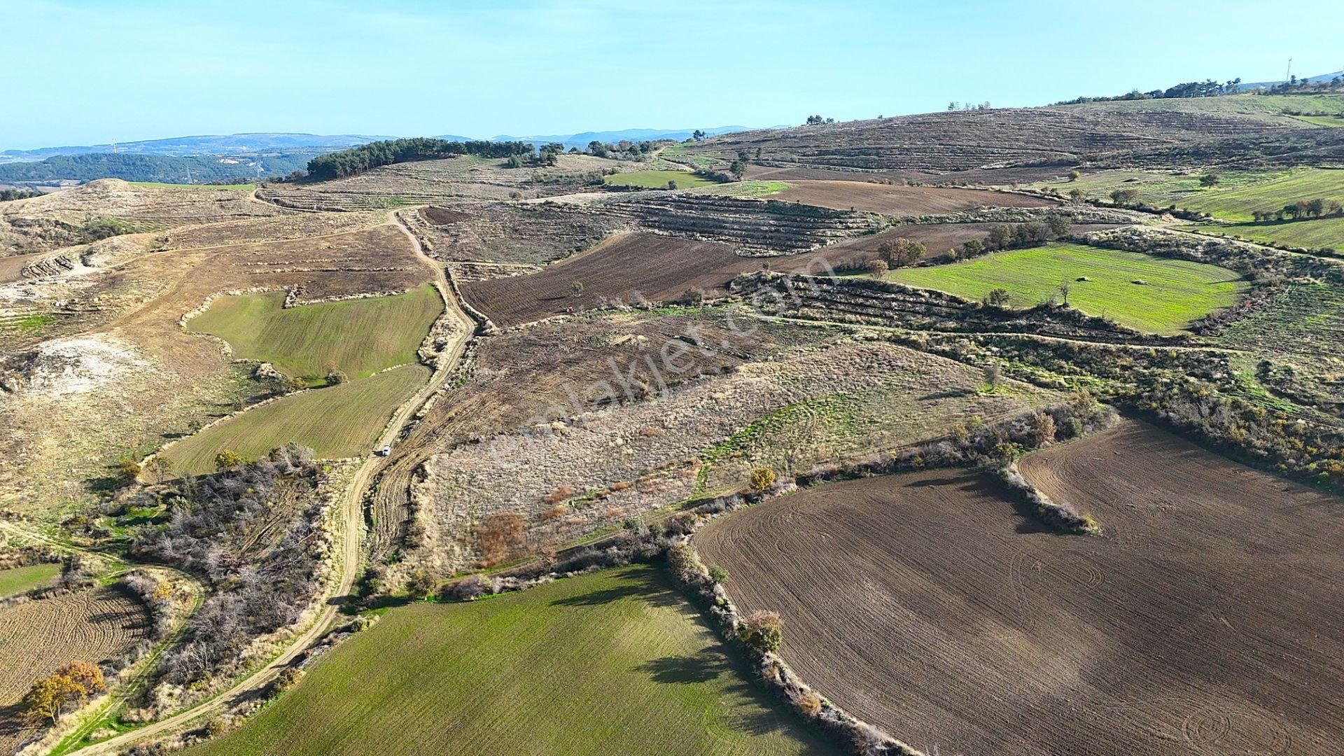 Çanakkale Merkez Kızılkeçilide Boğaz Ve Deniz Manzaralı Tarla - Görsel 22