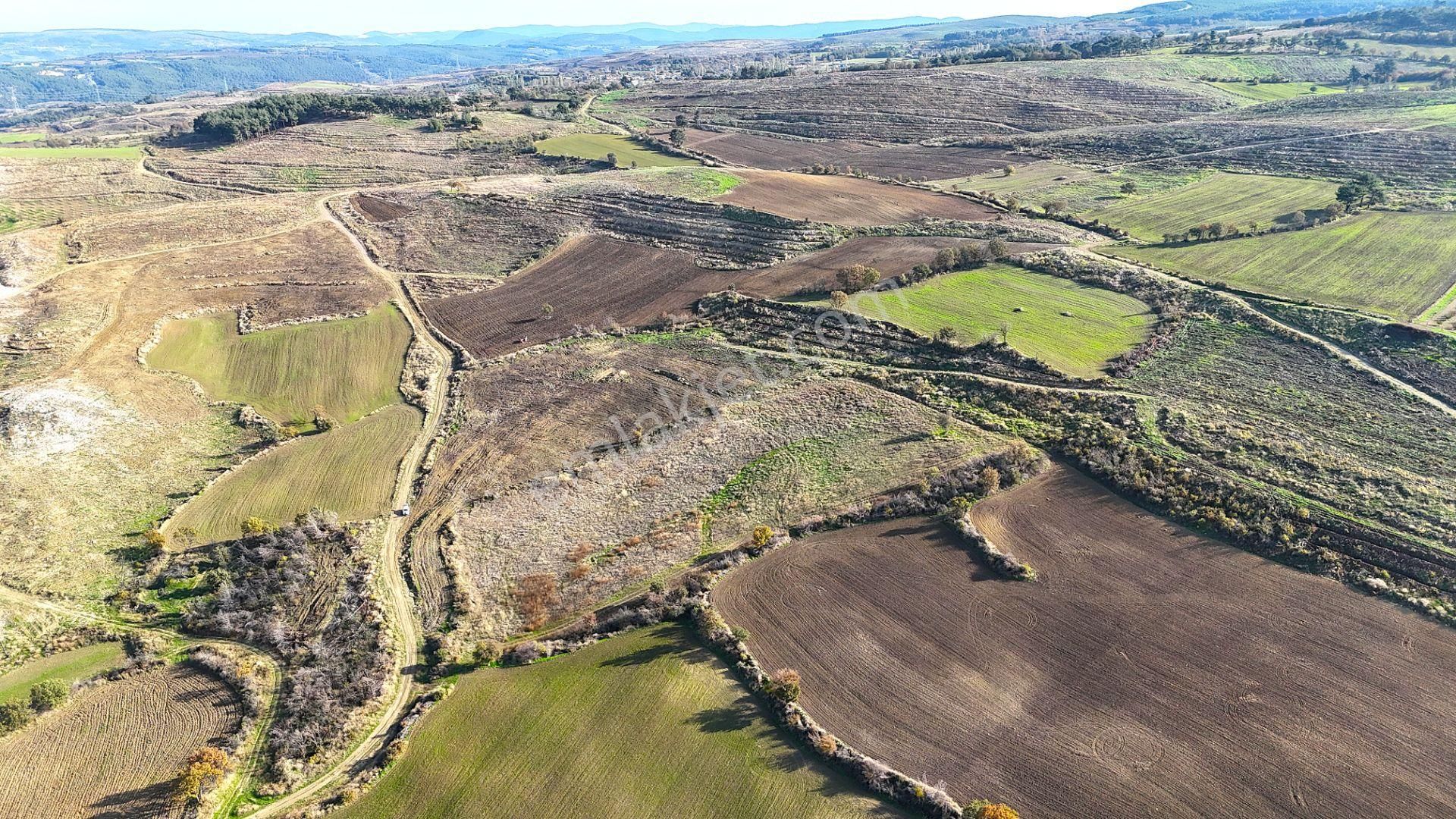 Çanakkale Merkez Kızılkeçilide Boğaz Ve Deniz Manzaralı Tarla - Görsel 20