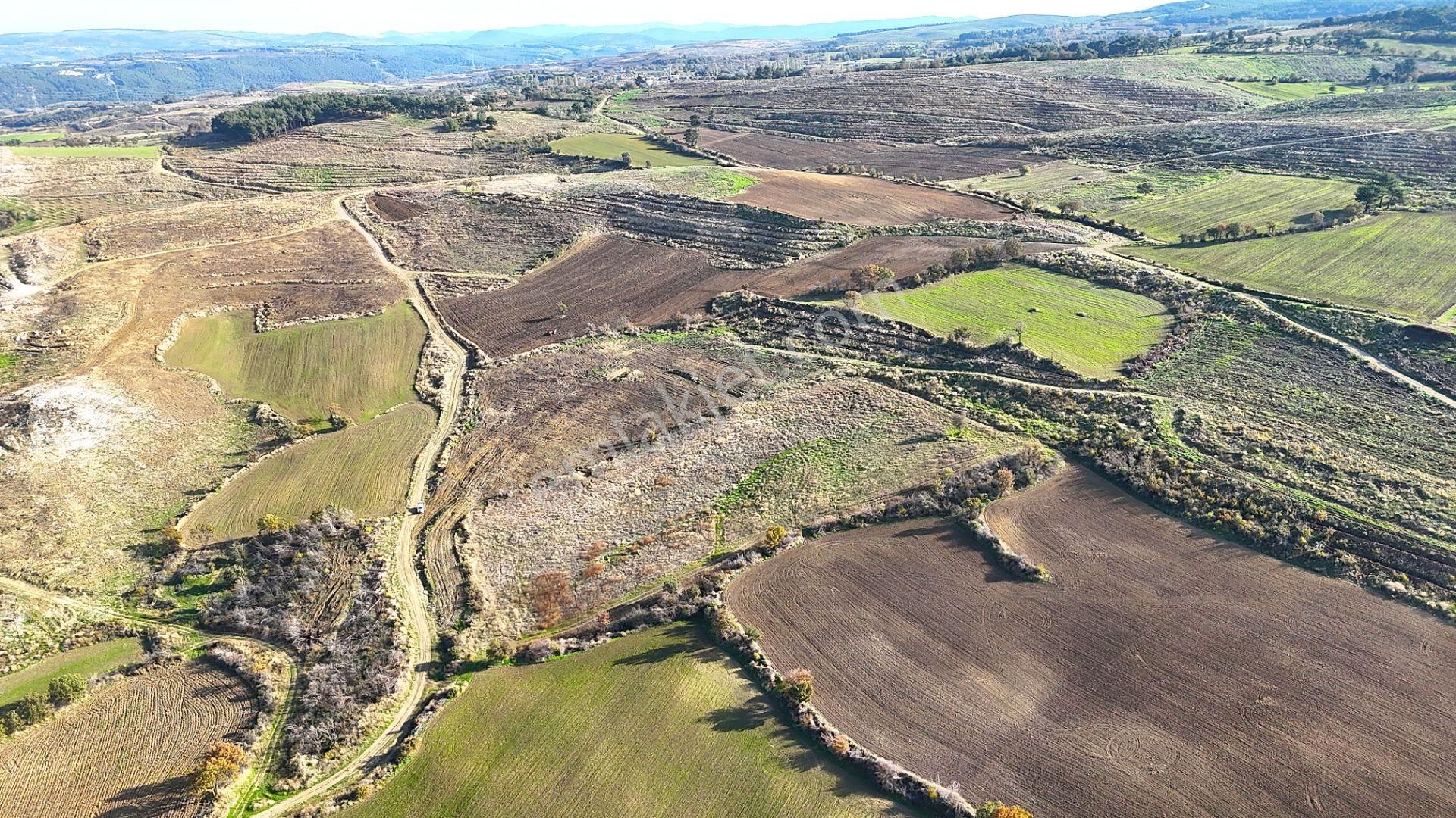Çanakkale Merkez Kızılkeçilide Boğaz Ve Deniz Manzaralı Tarla - Görsel 19