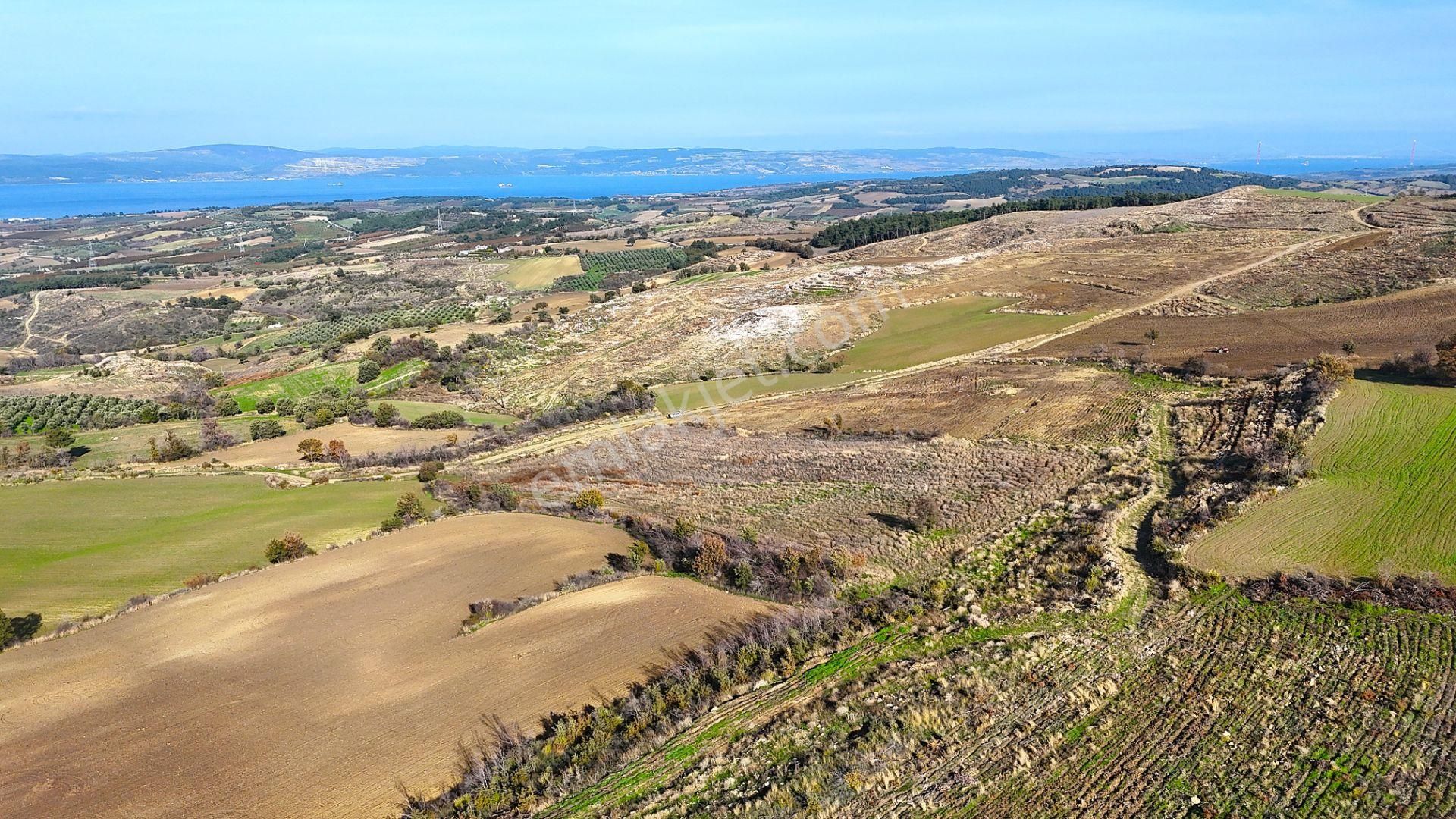 Çanakkale Merkez Kızılkeçilide Boğaz Ve Deniz Manzaralı Tarla - Görsel 25
