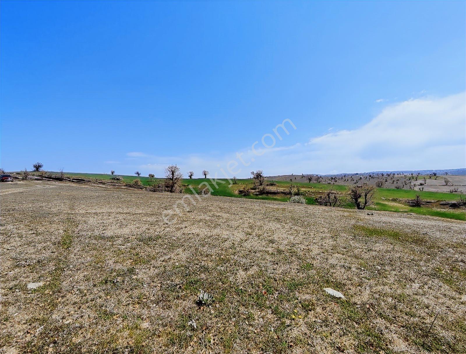 Manisa Selendi Karakozan'da Göl Manzaralı 8690 M² Satılık Arazi - Görsel 10