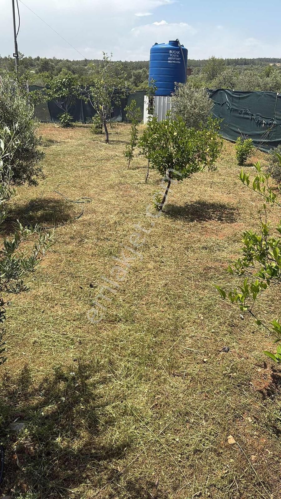 Aksu Topallıda Müstakil Ev - Görsel 3