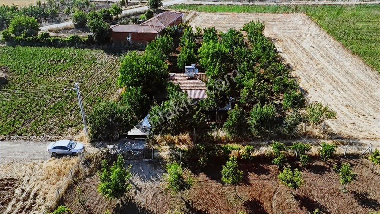 Kocabıyık Gayrimenkul'den Tavas Acil Satılık Ceviz Bahçesi - Görsel 21