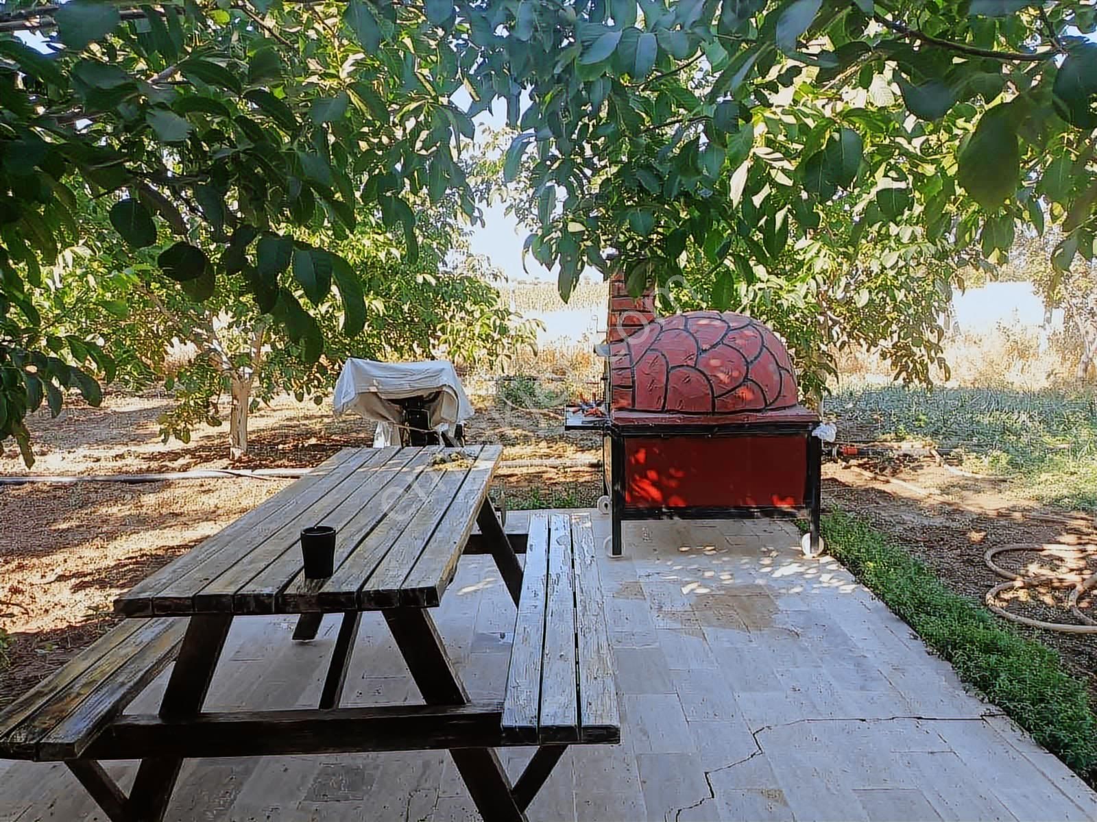 Kocabıyık Gayrimenkul'den Tavas Acil Satılık Ceviz Bahçesi - Görsel 18