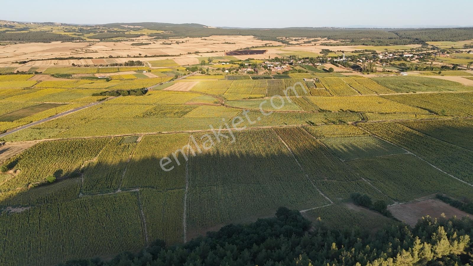 Ege Emlak'tan Şabanmera Köyünde Yatırımlık 17.460 M2 Tarla