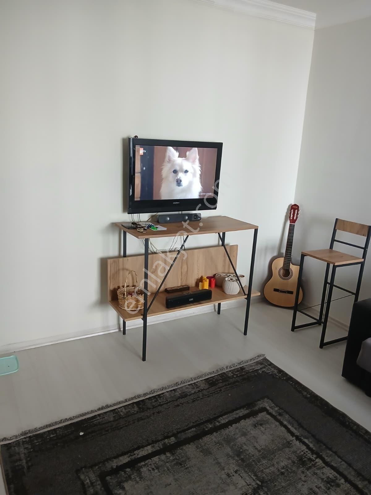 Stoptan Karapınarda Havuzlu Müstakil Girişli 1+1 - Görsel 8