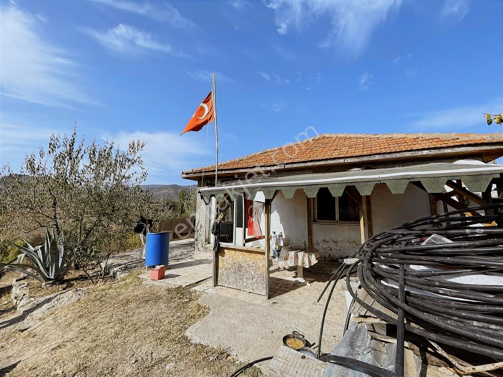 Mihalgazi'de Kiralık 13 Dönüm Zeytin Bahçesi Ve Evi Seraya Uygun - Görsel 9