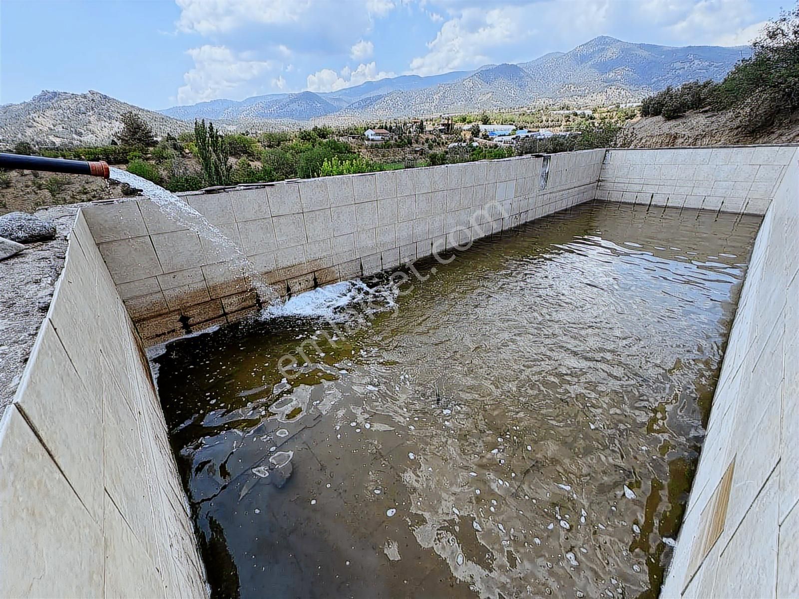 Mihalgazi'de Kiralık 13 Dönüm Zeytin Bahçesi Ve Evi Seraya Uygun - Görsel 16