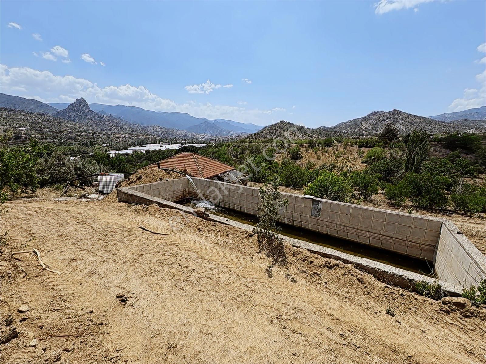 Mihalgazi'de Kiralık 13 Dönüm Zeytin Bahçesi Ve Evi Seraya Uygun - Görsel 4