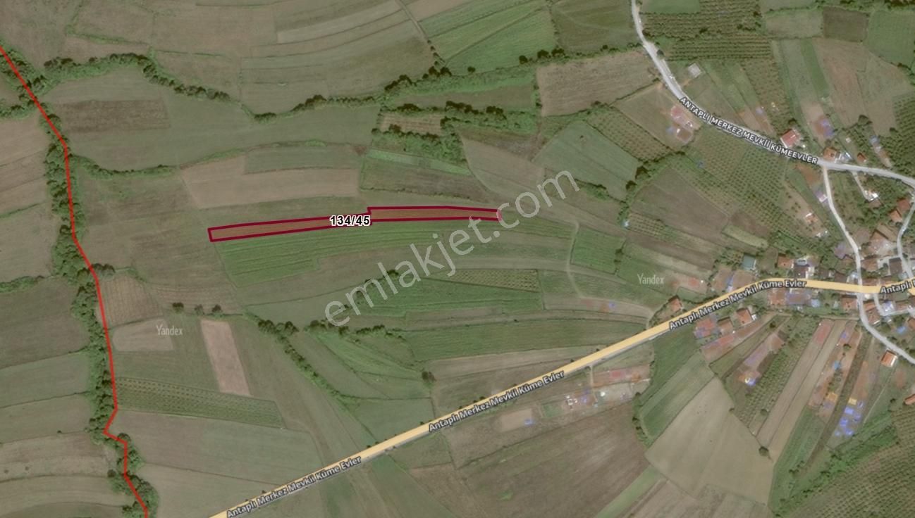 Kandıra Antaplı'da Yatırımlık (3.319,56 M²) Satılık Tarla - Görsel 2