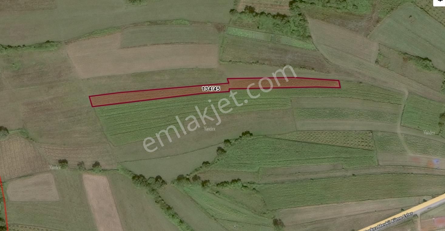 Kandıra Antaplı'da Yatırımlık (3.319,56 M²) Satılık Tarla - Görsel 5