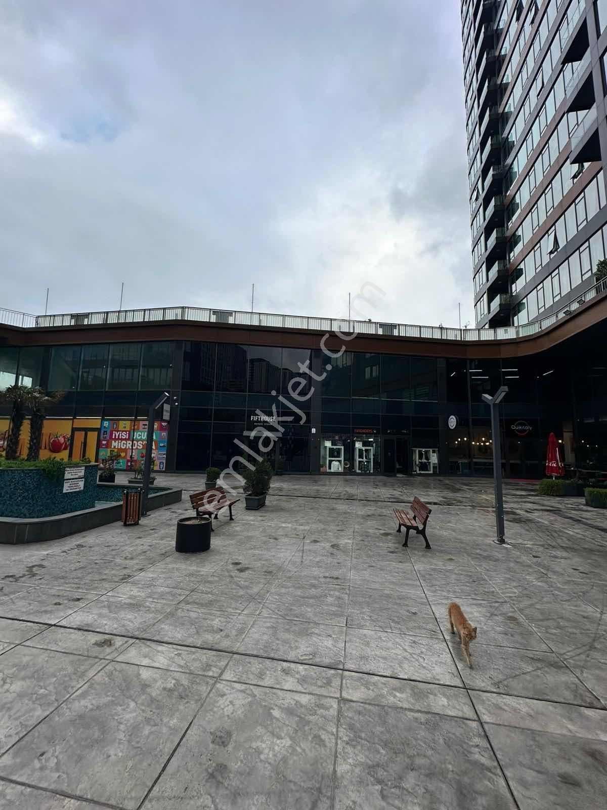 Turyap Koza'dan The Mandarıns'de 3 Katlı Yatırımlık Dükkan - Görsel 21